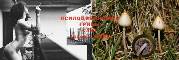 прущая мука Богородицк